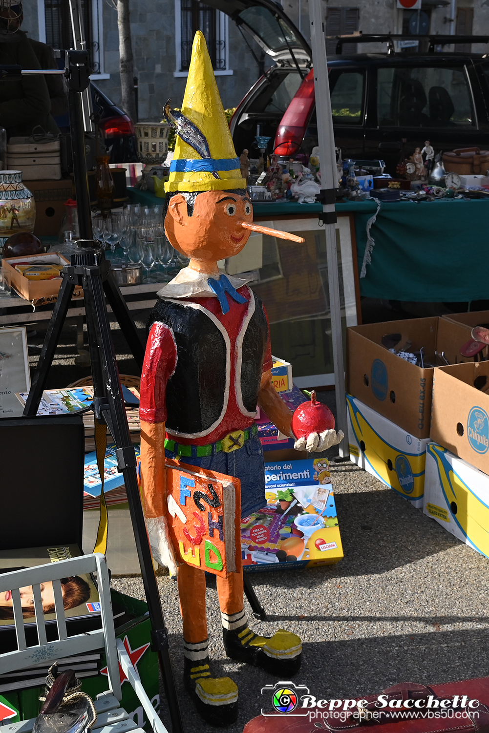 VBS_8265 - Mercatino dell'Antiquariato e dell'Hobbismo.jpg